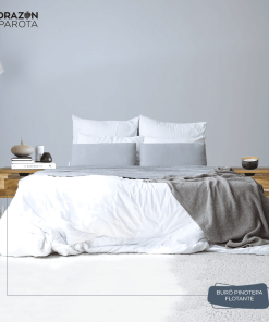 Buró Pinotepa Flotante